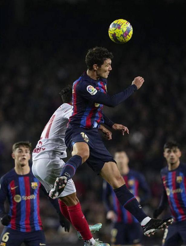 龙8体育-热刺主教练弗兰克简历